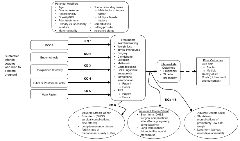 Figure 1: This figure depicts the key questions within the context of the population, interventions, comparators, outcomes, timings, and settings (PICOTS) described in the previous section. In general, the figure illustrates how a wide range of treatments for infertility may result in intermediate outcomes such as pregnancy or time to pregnancy and/or final outcomes such as live birth (single or multiple), quality of life, or costs in couples with different underlying causes of infertility. A separate key question focuses on outcomes in female and male donors in infertility. Short- and long-term adverse effects may occur at any point during treatment and may affect donors, patients, and/or children. Optimal treatment strategies may vary by important patient characteristics and/or by setting/provider. 