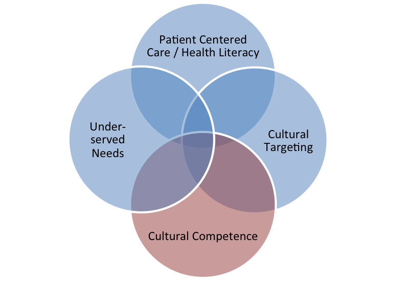 Figure 1 is a Venn diagram with four circles depicting how several concepts used in health services research overlap. The concepts are cultural competence, underserved needs, cultural targeting and patient-centered care. The concepts are used by different research fields but do not necessarily convey a comprehensive or coherent taxonomy.