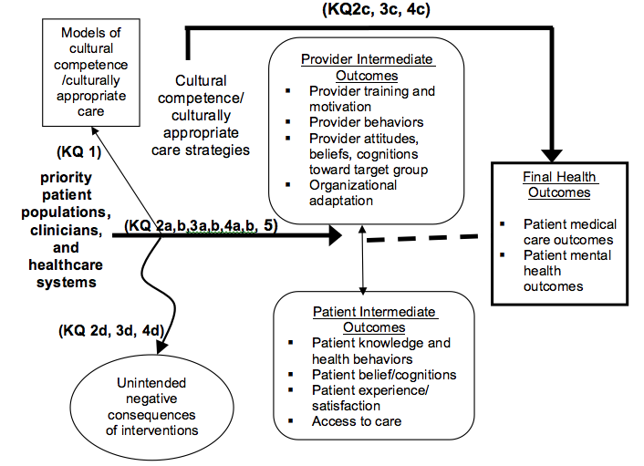 Figure 2 is the analytical frameword describing how cultural competence interventions targeted to patients from the priority populations, providers, or at the system level may lead to outcomes. Intermediate outcomes for cultural competence interventions include providers outcomes that demonstrate changes in provider attitudes, knowledge, cognitions, or behaviors. At the system level, intermediate outcomes include changes in work or clinic processes. Patients may also show intermediate outcomes such as patient experience or satisfaction with services. A double-pointed arrow is drawn between the provider and patient intermediate outcomes to show the interplay that may occur; a change in provider behavior may induce a change in the patient's experience. Final health outcomes are the main outcomes of interest and include patient medical care outcomes and patient mental health outcomes. The figure displays a generic framework; intermediate and final outcomes for each priority population are defined in more detail in Table 1. The figure also shows that models of cultural competence and culturally appropriate care help shape the forms interventions are likely to take. Unintended negative consequences of a cultural competence intervention, may also occur at any point after the intervention is initiated.