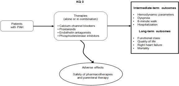 Figure 2. This figure depicts Key Question 3 within the context of the PICOTS. In general, the figure illustrates therapies (i.e., prostanoids, endothelin antagonists, phosphodiesterase inhibitors) alone or in combination for adults diagnosed with PAH. Key Question 3 also considers intermediate patient outcomes (e.g., pulmonary artery pressure, dyspnea, 6-minute walk) and long-term patient outcomes (e.g., functional class, quality of life, right heart failure, mortality) as well as adverse effects associated with PAH therapies (e.g., liver function abnormalities, increased prothrombin time and international normalized ratio, headache, bleeding, peripheral edema, gastrointestinal symptoms, and dizziness or syncope).