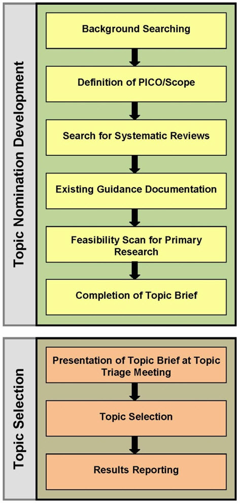Figure 3. Topic nomination development and topic selection processes