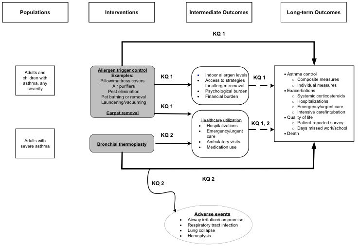 Figure 1: This figure depicts the key questions within the context of the PICOTS described above. In general, the figure illustrates how reducing exposure to indoor allergens for adults and children with asthma affects intermediate outcomes, listed in the two boxes in the middle of the figure, including: indoor allergen levels, healthcare utilization, and the psychological and financial burdens associated with these interventions; and how bronchial thermoplasty in adults with severe asthma affects healthcare utilization. Ultimately, the figure depicts the long term results of allergen control and bronchial thermoplasty, listed in the box on the right, including: asthma control, asthma exacerbations, quality of life, and death. Also, the figure depicts harms potentially associated with bronchial thermoplasty, in the oval at the bottom. These include airway irritation or compromise, respiratory tract infections, lung collapse, and hemoptysis.