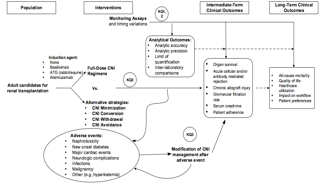 Figure 1: This figure depicts the key questions within the context of the PICOTS described above. In general, the figure illustrates how treating adult kidney transplant recipients with either full dose CNI immunosuppression or an alternative immunosuppressive regimen impacts drug monitoring analytical outcomes listed in the first box on the right: analytical accuracy and precision, limit of quantitification, and inter-laboratory comparison and intermediate health outcomes next box, such as organ survival and acute cellular and/or antibody mediated rejection. Ultimately, the figure depicts how full dose CNI regimens compared to alternative immunosuppressive regimens impact patient outcomes listed in the last box on the right: all-cause mortality, quality of life, healthcare utilization, impact on workflow, and patient preference. Also, harms that may occur with the treatments are listed in the box on the bottom right.