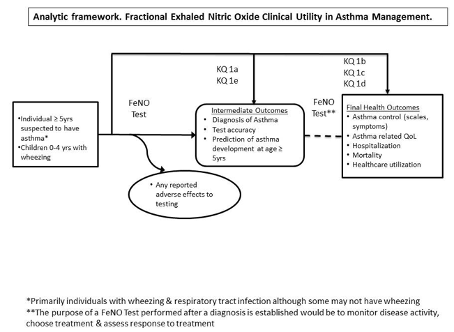 The figure is an analytic framework that depicts the pathway individuals age 5 years and older with suspected asthma or children under 5 with recurrent wheezing episodes, evaluated by Fractional Exhaled Nitric Oxide (FeNO) testing, reach asthma related intermediate outcomes and final health outcomes. The figure shows that the patients will be evaluated by FeNO testing. The figure then shows the link between those patients and asthma related intermediate outcomes, including diagnosis of asthma, test accuracy of FeNO testing, and prediction of asthma development. The figure shows an overarching link between FeNO testing and final health outcomes, such as asthma control, asthma related quality of life, hospitalization, mortality, and healthcare utility. The figure also shows a possible association between FeNO testing and adverse effects related to testing. 