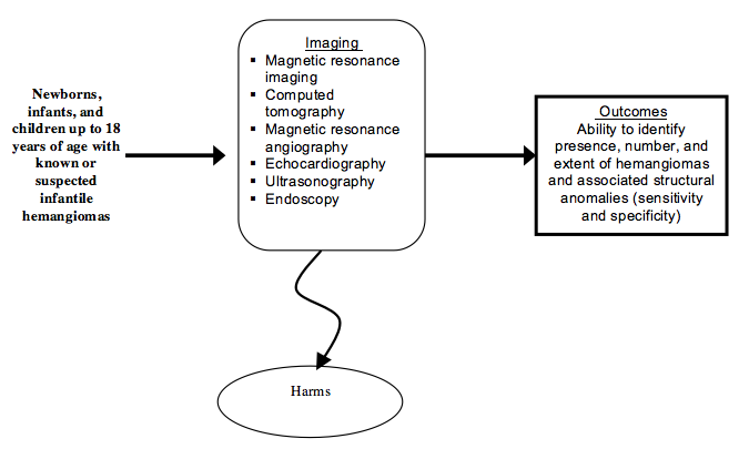 Figure 1 depicts Key Question 1 within the context of the PICOTS described in the document. The figure examines imaging modalities for newborns, infants, and children up to 18 years of age with known or suspected infantile hemangioma. Modes of imaging include magnetic resonance imaging, computed tomography, magnetic resonance angiography, echocardiography, ultrasonography, and endoscopy for diagnosing and characterizing known or suspected visceral hemangiomas. Outcomes include the ability to identify presence, number, and extent of hemangiomas and associated structural anomalies (sensitivity and specificity). Harms may occur at any point after the intervention is received.