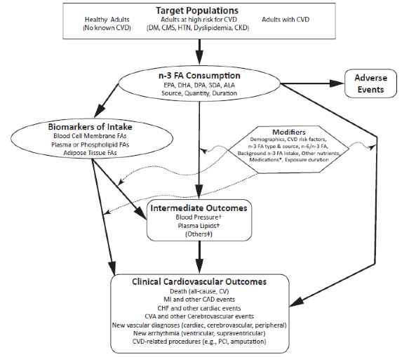 Figure 1: Analytic Framework Flow Diagram. The analytic framework summarizes the key questions within the context of the PICO. Overall, the figure articulates the effect of omega-3 fatty acid consumption on cardiovascular outcomes. The target populations of interest include healthy adults with no known cardiovascular disease, adults at high risk for cardiovascular disease, including those with diabetes, cardiometabolic syndrome, hypertension, dyslipidemia, and non-dialysis-dependent chronic kidney disease, and adults with known cardiovascular disease. Omega-3 fatty acid consumption (including EPA, DHA, DPA, SDA, and ALA, of various sources, quantities, and durations of exposure) alters biomarkers of omega 3 fatty acid intake (including blood cell membrane fatty acids, plasma or phospholipid fatty acids, and adipose tissue fatty acids). Omega 3 fatty acid intake and biomarkers may affect cardiovascular intermediate outcomes, including blood pressure, lipids, and other factors not included in the current review. Both through the intermediate outcomes and directly, omega 3 fatty acid intake and biomarkers may be associated with clinical cardiovascular outcomes, including all-cause and cardiovascular death, myocardial infarction and other coronary artery disease events, congestive heart failure and other cardiac events, stroke and other cerebrovascular events, new vascular diagnoses including cardiac, cerebrovascular, and peripheral diseases, new ventricular and supraventricular arrhythmias, and cardiovascular disease-related procedures, such as percutaneous coronary interventions and amputation. All of these associations may be modified by different demographics, cardiovascular disease risk factors, omega-3 fatty acid type and source, omega-6 to omega-3 fatty acid ratios, background omega-3 fatty acid intake, other nutrients, exposure duration, and medications, specifically cardiovascular medications, statins, antihypertensives, diabetes medications, and hormone replacement. Omega-3 fatty acid intake can also be associated with adverse events.