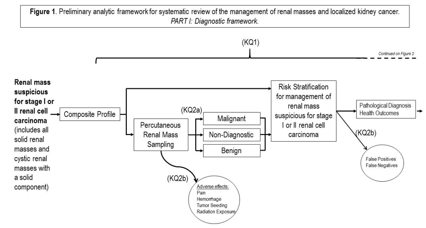Figure 1. Preliminary analytic framework for systematic review of the management of renal masses and localized kidney cancer Part I: Diagnostic framework The figure shows the preliminary analytic framework which describes the diagnostic framework. Moving from left to right, there is text, arrows, boxes and circles that have text within and around. The first thing on the left shows the group with renal masses suspicious for stage I or II renal cell carcinoma. There is an arrow pointing to the composite outcomes. From here there are 2 arrows; the first arrow points to a box showing risk stratification for management of renal masses suspicious for stage I or II renal cell carcinoma; the second arrow points to a box containing the diagnostic method of percutaneous renal mass sampling. From here, there is an arrow that points down to a circle labeled adverse effects (pain, hemorrhage and tumor seeding) which denotes KQ2b. Also from percutaneous renal mass sampling box, three arrows point to three boxes (malignant, non-diagnostic and benign) which denotes KQ2a. From the three boxes, three arrows emerge and converge to point to the box earlier mentioned showing risk stratification for management of renal masses suspicious for stage I or II renal cell carcinoma. From here, an arrow points to a box (contains pathological diagnosis, health outcomes) and a circle (which contains False Positives and False Negatives) which denotes KQ2b.