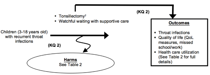 Figure 6 depicts Key Question 2 within the context of the patient, intervention, comparator, and outcomes (PICOS) parameters described in the document. Children between the ages of 3 and 18 years with recurrent throat infections may undergo tonsillectomy (which includes tonsillectomy, adenotonsillectomy, or partial tonsillectomy) or other treatment (medical treatments, watchful waiting). Outcomes resulting from treatment may include changes in the number and severity of throat infections annually; changes in health care utilization; and quality of life including missed school or work. Harms may occur at any point after the intervention is received and may include emergency room visits for bleeding, pain, dehydration, and nausea and vomiting.