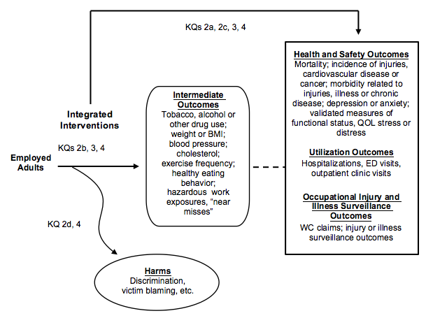 The Analytic Framework depicts how integrated or Total Worker Health interventions can affect our outcomes of interest in employed adults. KQ 2a addresses the relationship between these interventions and health and safety outcomes (such as mortality; incidence of injuries, cardiovascular disease or cancer; morbidity related to injuries, illness or chronic disease; depression or anxiety; and validated measures of functional status, quality of life, and stress or distress). KQ 2c focuses on how integrated interventions can affect utilization outcomes (such as hospitalizations, emergency department visits, and outpatient clinic visits) and occupational injury and illness surveillance outcomes (such as worker's compensation claims). KQ 2b pertain to the relationship between integrated interventions and intermediate outcomes (such as tobacco, alcohol or other drug use; weight or BMI; blood pressure; cholesterol; exercise frequency; healthy eating behavior, and hazardous work exposures or 'near misses') that can precede health and safety outcomes, utilization outcomes, or occupational injury and illness surveillance outcomes. KQ 3 describes the characteristics of effective integrated interventions, while KQ 4 describes potential modifiers of their effectiveness for improving any of the outcome types just described. KQs 2d and 4 deal with the potential harms of these interventions (such as discrimination or victim blaming).
