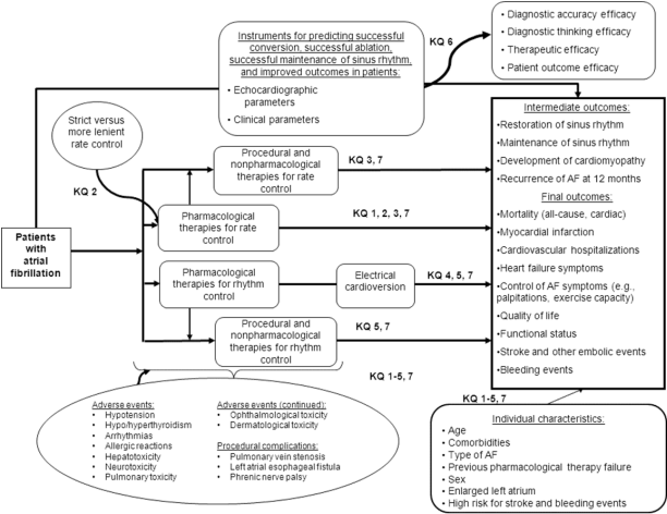 Figure 2 is an analytic framework that depicts the key questions within the context of the PICO (populations, interventions, comparators, and outcomes) described elsewhere in this document. The patient population of interest is adults with atrial fibrillation. Interventions of interest are procedural and nonpharmacological therapies for rate control (key questions 3 and 7), pharmacological therapies for rate control (key questions 1, 2, 3, and 7), pharmacological therapies for rhythm control (key questions 4, 5, and 7), electrical cardioversion (key questions 4, 5, and 7), and procedural and nonpharmacological therapies for rhythm control (key questions 5 and 7). Strict versus more lenient pharmacological therapies for rate control are considered in a separate question (key question 2). Intermediate outcome measures of interest are restoration of sinus rhythm, maintenance of sinus rhythm, development of cardiomyopathy, and recurrence of atrial fibrillation at 12 months. Final outcomes of interest are mortality (all-cause and cardiac), myocardial infarction, cardiovascular hospitalizations, heart failure symptoms, control of atrial fibrillation symptoms (e.g., palpitations, exercise capacity), quality of life, functional status, stroke and other embolic events, and bleeding events. Adverse events associated with pharmacological treatment include hypotension, hypo/hyperthyroidism, arrhythmias, allergic reactions, hepatotoxicity, neurotoxicity, pulmonary toxicity, ophthalmological toxicity, and dermatological toxicity. Procedural complications include pulmonary vein stenosis, left atrial esophageal fistula, and phrenic nerve palsy. For key questions 1-5 and 7, we will attempt to determine whether the comparative safety and effectiveness of the various therapies investigated differ among specific patient subgroups of interest. Patient characteristics to be assessed here include age, comorbidities, type of atrial fibrillation, previous pharmacological therapy failure, sex, enlarged left atrium, and high risk for stroke and bleeding events. Finally, key question 6 considers the comparative diagnostic accuracy efficacy, diagnostic thinking efficacy, therapeutic efficacy, and patient outcome efficacy of echocardiographic studies and other clinical parameters for predicting successful conversion, successful ablation, successful maintenance of sinus rhythm, and improved outcomes in patients with atrial fibrillation. 