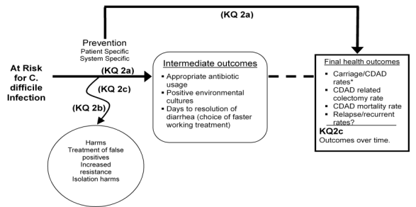 Figure 2 provides a supplemental framework for the key question related to prevention. The illustration lays the pathway of preventive strategies and practices from the target patient population of patients at risk for CDAD due to potential for exposure, through intermediate outcomes and on to health outcomes. This framework was included to highlight the linkage but conceptual difference between the intermediate outcomes of prevention, which are often process measures of the uptake of a prevention strategy, or counts of vegetative C. difficile or spores remaining in the environment, and health outcomes of clinical significance important to the patient. Key question 2 is mainly concerned with evidence for the direct effect of prevention on health outcomes.