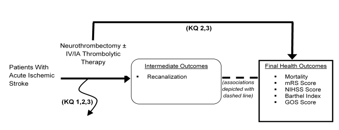 In this analytic framework figure, the links between the use of an intervention in a population and outcomes are described. The population includes patients experiencing an acute ischemic stroke. The intervention is the use of a neurothromectomy device with or without IV or IA thrombolytic therapy. While most of these trials do not have comparators, the comparator in clinical practice would be no reperfusion therapy or thrombolytic therapy alone. The outcomes are broken up into adverse events, intermediate outcomes, and final health outcomes. The adverse events of note include failure of the device to employ, breakage or fracture, perforation, dissection, adjacent thrombosis, vasospasm, and hemorrhage. The intermediate outcome is recanalization. The final health outcomes include mortality and impact of therapy on the mRS, NIHSS, Barthel index, and GOS scales.