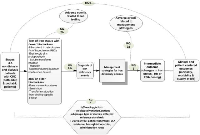 This figure depicts the analytic framework of the proposed review. The figure shows how the key questions can be addressed within the context of the Population, Intervention, Comparator and Outcomes discussed in the protocol. Stages 3 to 5 nondialysis and dialysis patients with chronic kidney disease whose iron status was monitored using newer laboratory biomarkers (i.e., content of hemoglobin [Hb] in reticulocytes, percentage of hypochromic red blood cells, erythrocyte zinc protoporphyrin, soluble transferrin receptor, hepcidin, and superconducting quantum interference devices) as a replacement for or an add-on to the older laboratory biomarkers (i.e., bone marrow iron stores, serum iron, transferrin saturation, iron-binding capacity, and ferritin) were the population of interest of the proposed review. Key question 1 is an overarching question that covers key questions 2, 3 and 4, which the impact on patient centered outcomes of using the newer laboratory biomarkers as a replacement for or an add-on to the older laboratory biomarkers of iron status for the diagnosis and management of iron deficiency anemia. Key question 2 addresses the diagnostic test accuracy of newer markers of iron status as a replacement for or an add-on to the older markers. Key question 3 addresses the impact of managing iron status based on newer laboratory biomarkers either alone or in addition to older laboratory biomarkers on intermediate outcomes, compared with managing iron status based on older laboratory biomarkers alone. This question focuses on comparative studies of management strategies where treatment decisions are guided by test results. Since these tests are also used for monitoring purposes, at every time point of their measurement, treatment decisions may be altered by results of the subsequent tests; thus, the impact of the test on outcomes is mediated through a series of treatment decisions. We aim to capture “test effectiveness” by incorporating management strategies. Tests of iron status as well as the treatments guided by these tests may be associated with adverse effects or harms, such as test-related anxiety, adverse events secondary to venipuncture, and effects of iron overload with iron treatments. Sub-question 2b and 3a address these potential harms. Key question 4 addresses the factors that may affect the test performance and clinical utility of newer markers of iron status, such as biological variation in diagnostic indices, use of different diagnostic reference standards, and patient subgroups. The links between intermediate outcome and clinical or patient centered outcomes will not be addressed in the proposed review; unless a study that met our eligibility criteria for key question 1 examining this relationship directly within the study population. 