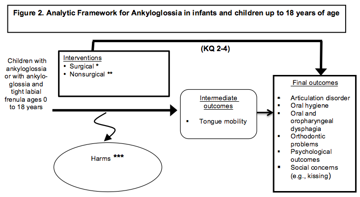 This figure depicts Key Questions 2, 3, and 4 within the context of the PICOTS described in the document. In general, the figure examines surgical and nonsurgical treatments in infants and children with ankyloglossia or ankyloglossia with concomitant lip-tie. The intermediate outcome is tongue mobility and final health outcomes include articulation disorder, oral hygiene, oral and oropharyngeal dysphagia, orthodontic problems, psychological outcomes and social concerns including kissing. Harms may occur at any point after the intervention is received.