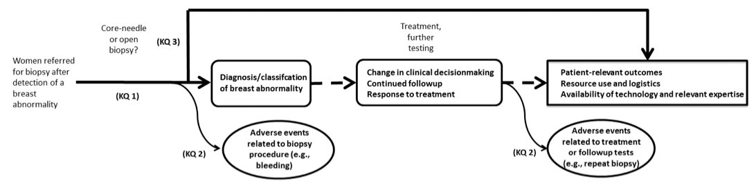 This figure depicts the key questions within the context of the Population, Interventions, Comparators and Outcomes, described in the previous section. The figure illustrates how alternative biopsy methods for women referred for biopsy after the detection of a breast abnormality impact diagnosis (test performance, Key Question 1) and patient-relevant outcomes and resource use (Key Question 3). The impact of tests on outcomes is mediated by changes in physicians' diagnostic thinking and therapeutic decision-making. The review will also address adverse events directly related to biopsy procedures and those mediated by test-directed treatment or additional testing procedures (Key Question 2).