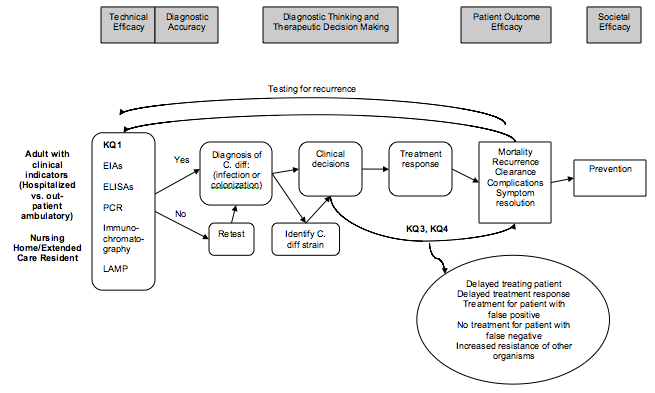 Figure 1 is a flow diagram illustrating the clinical path for patients with the potential to develop CDAD, from diagnostic laboratory tests, through their impact on treatment decisions, to finally implications for prevention strategies. It also locates the key questions of the review within the context of the framework. Diagnostic testing has two parts, the technical efficacy of the tests and diagnostic accuracy. After diagnostic accuracy, and treatment, and patient outcome efficacy, is prevention, a societal level efficacy measure, as the benefits of prevention of infectious disease can extend beyond the individual patient.