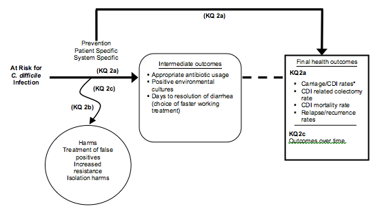 Figure 2 is a flow diagram illustrating the pathway of preventive strategies and practices from the target patient population of patients at risk for CDAD due to potential exposure, through intermediate outcomes, and on to clinical health outcomes.