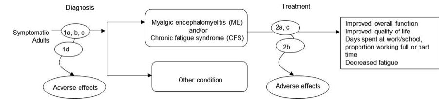 Figure 1 is an analytic framework that depicts the events involved in the diagnosis and treatment of symptomatic adults for Myalgic encephalomyelitis (ME) and/or chronic fatigue syndrome (CFS). The figure shows that symptomatic adults undergoing diagnosis may lead to a diagnosis of ME and/or CFS or to a to diagnosis of another condition. Diagnosis may potentially cause adverse effects. The figure then indicates that after diagnosis with ME and/or CFS patients may undergo treatment, which may lead to improved overall function, improved quality of life, more days spent at work or school, proportion working full or part time, and decreased fatigue. Treatment may also result in adverse effects.