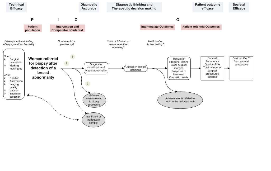 Figure 2–2. Example of an analytical framework within an overarching conceptual framework in the evaluation of breast biopsy techniques*