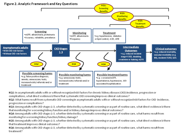 Figure 2 is an analytic framework. The patient population of interest is asymptomatic adults at either increased risk or average risk for chronic kidney disease (CKD). The first and second key questions are related to screening this population for the presence of CKD. Screening measures include estimated glomerular filtration rate (eGFR), albuminuria, and proteinuria. The first key question asks whether there is direct evidence that systematic screening of asymptomatic adults impacts clinical outcomes (including mortality, morbidity, quality of life, and end stage renal disease). The second key question asks whether there are harms associated with systematic screening of asymptomatic adults. Potential harms include psychological harms (labeling, misclassification) and unnecessary testing or treatment. The third and fourth key questions are related to benefits (in terms of clinical outcomes) and harms (specifically unnecessary tests and/or treatments) associated with monitoring patients with early CKD. Disease progression may be monitored with eGFR or albuminuria measures. The frequency of monitoring is also a consideration. The fifth and sixth key questions are related to benefits (again, clinical outcomes) and harms (including worsened eGFR, hyperkalemia, and hospitalization) associated with treatment of patients with early CKD. Treatments may be specific to CKD or may be targeted to vascular disease or vascular risk factors (e.g., hypertension, diabetes). The framework also includes intermediate outcomes (e.g., abnormal laboratory results) that have been found to be associated with the clinical outcomes of interest. If we are unable to identify direct evidence that screening, monitoring, and treatment impact the clinical outcomes, we may need to look at the effect of screening, monitoring, and treatment on intermediate outcomes.