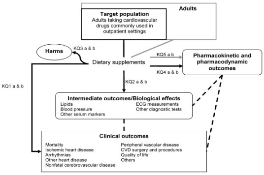 Figure 1 is an analytic framework that depicts the key questions for this review within the context of the population, treatment and outcomes of interest. The framework includes 7 sections. The first 6 include Target population, Treatment, Intermediate Outcomes/Biological effects, Clinical Outcomes, Harms and Pharmacokinetic and Pharmacodynamic Outcomes. The patient population of interest is adults taking cardiovascular drugs commonly used in the outpatient setting. The treatment is dietary supplements. The intermediate outcomes are utilized to determine if the treatment has an effect on biological outcomes and include lipids levels, blood pressure, ECG measurements, and other serum markers and diagnostic tests. The clinical outcomes include mortality, ischemic heart disease, arrhythmias and other heart disease, cerebrovascular disease, peripheral vascular disease, cardiovascular disease surgery and procedures, and quality of life. Harms of treatment include allergic reactions, significant bleeding, and neurological and gastrointestinal adverse events. Pharmacokinetic and pharmacodynamic outcomes include measures of drug absorption, distribution, metabolism, and excretion. The final heading is the adult population, within which the target population is included. This heading is included for Key Question 5, which proposes to examine clinical pharmacokinetic and pharmacodynamic studies of commonly used dietary supplements in the general adult population.