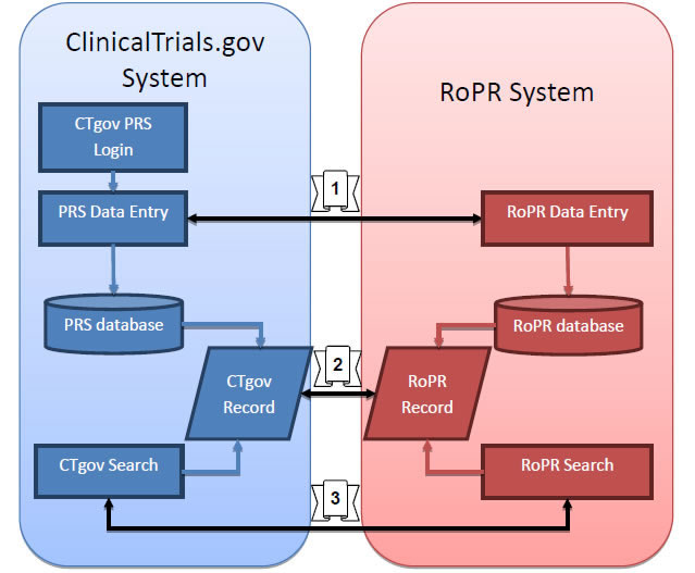 Figure 1: This flow chart shows the flow of data between ClinicalTrials.gov (CTgov) and the RoPR. The user starts at the PRS website which contains a link to the RoPR website for expanded data entry (pathway 1, described below), the RoPR website shares login information with the PRS system. Data entered into each system is saved in a database, which is then searchable on the CTgov and RoPR search portals, the portals contain links to each other (pathway 2, described below), and the records returned in search results also contain links to CTgov and RoPR respectively (pathway 3, described below).