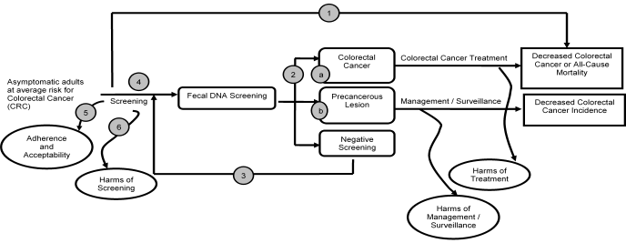 Figure 1: This figure depicts the Key Questions within the context of the PICOTS (population, intervention, comparator, outcome, timing, and setting) described in the previous section. In general, the figure illustrates how fecal DNA screening among asymptomatic adults at average risk for colorectal cancer may result in intermediate outcomes, such as the detection of colorectal cancer and precancerous lesions, and/or long-term outcomes, such as decreased colorectal cancer mortality, decreased all-cause mortality, and decreased colorectal cancer incidence. Also, harms related to fecal DNA screening may occur at any point after screening is received. 