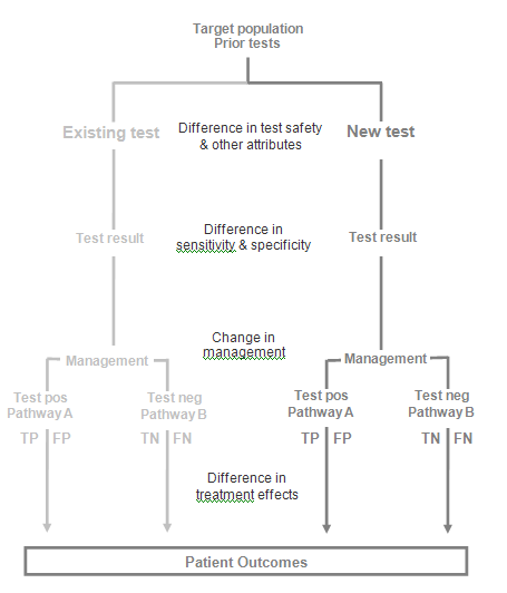 Figure 1a is a flowchart that shows the different pathways by which a replacement test affects patient outcomes compared to an existing test. Both tests affect patient outcomes through the test result and subsequent management based on whether the test is positive (whether true positive or false positive) or negative (whether true negative or false negative). The tests may have differences at each stage – 1) differences in test safety and other attributes, 2) Differences in sensitivity and specificity, 3) changes in management, 4) differences in treatment effects.