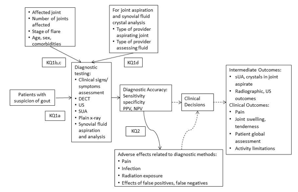 This figure depicts the key questions within the context of the PICOTS described in the previous section. The figure illustrates, first, the participants of interest, adults with suspected gout. The interventions are a set of candidate diagnostic procedures (assessment of clinical signs and symptoms, serum uric acid assay, ultrasound, DECT, plain radiography) for which we will seek studies comparing their diagnostic accuracy to that of joint aspiration and synovial fluid crystal analysis (key question 1a). We will also seek studies that assess the effect of number and type of affected joint, duration of gout flare, and various other patient characteristics (age, sex, comorbidities) on comparative diagnostic accuracy (key questions 1b, c). We will also search for literature that assesses the effect of the type of provider conducting joint aspiration and the type of personnel analyzing the results on the accuracy of synovial fluid analysis and joint aspiration (key question 1d). The outcomes of interest will include measures of test accuracy (e.g., sensitivity and specificity, AUC, PPV, NPV), clinical decisions (such as the decision to order additional testing), intermediate outcomes (i.e., test outcomes such as serum UA levels, presence of MSU crystals in joint aspirate, radiographic evidence), clinical outcomes (e.g., pain, swelling), and harms of the tests (e.g., pain, infection, false positives, or false negatives) (key question 2).