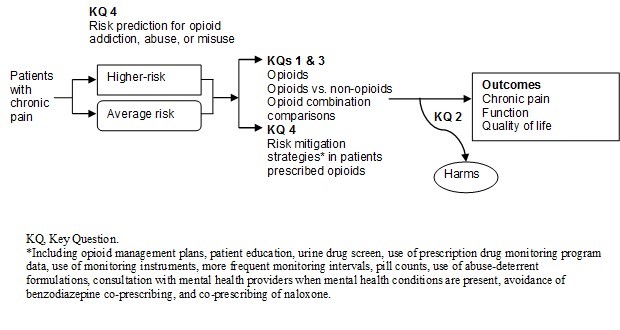 This figure is an analytic framework that depicts the pathway that patients with chronic pain may experience during risk prediction and treatment with opioids. The figure shows that adults with chronic pain who undergo risk prediction for opioid addiction, abuse, or misuse will be classified as average risk or higher risk. The next step in the pathway is receiving opioid treatment for chronic pain. The framework also assesses harms related to treatment. Patients receiving opioid therapy may also be subject to risk mitigation strategies, including opioid management plans, patient education, urine drug screening, use of prescription drug monitoring program data, use of monitoring instruments, more frequent monitoring intervals, pill counts, use of abuse-deterrent formulations, consultation with mental health providers when mental health conditions are present, avoidance of benzodiazepine co-prescribing, and co-prescribing of naloxone. Clinical health outcomes examined following treatment include chronic pain, function, and quality of life.