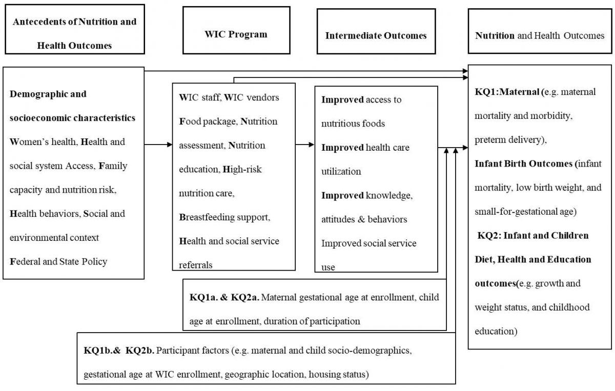 Figure 2 displays the analytic framework for assessing the association of Special Supplemental Nutrition Program for Women, Infants, and Children (WIC) participation with relevant outcomes. Demographic and socioeconomic characteristics include women’s health, health and social system access, family capacity and nutrition risk, health behaviors, social and environmental context, and federal and state policy. The WIC program includes WIC staff, vendors, food packages, nutrition assessment, nutrition education, high risk nutrition care, breastfeeding support, health and social service referrals. Intermediate outcomes include improved access to nutritious foods, improved health care utilization, and improved knowledge, attitudes and behaviors and improved social service use. For key questions 1a and 2a, intermediate outcomes include maternal gestational age at enrollment and child age at enrollment and duration of participation. For key questions 1b and 2b, this includes participant factors such as maternal and child socio-demographics and gestational age at WIC enrollment. Key question1 nutrition and health outcomes include maternal mortality and morbidity, preterm delivery, and infant birth outcomes. Key question 2 nutrition and health outcomes include growth and weight status, and childhood education.