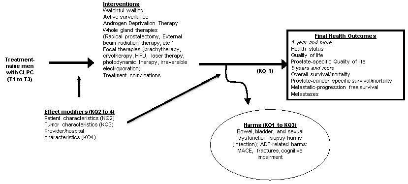 This figure depicts the key questions within the context of the PICOTS described in the previous section. In general, the figure illustrates how therapies for CPLC may result in final health outcomes such as mortality/survival, health status, and quality of life. It also shows harms that may occur. Finally, it illustrates how therapy may be modified by patient, tumor, and/or provider/hospital characteristics.