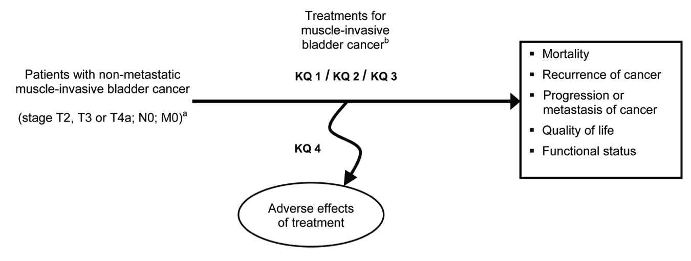Figure 1 is an analytic framework that depicts the populations, interventions, outcomes, and adverse effects of interest for treatment of non-metastatic muscle-invasive bladder cancer. The far left of the framework describes the target population for treatment as patients with non-metastatic muscle-invasive bladder cancer, stage T2, T3, or T4a; N0; M0. To the right of the populations is an arrow to represent the treatments for muscle invasive bladder cancer, including bladder-preserving chemotherapy and/or radiation therapy, partial cystectomy, regional lymph node dissection, and neo-adjuvant or adjuvant chemotherapy. Below the treatments is an oval for the adverse effects of these treatments. To the right of the treatments are health outcomes of interest, including mortality, recurrence of cancer, progression or metastasis of cancer, quality of life and functional status.