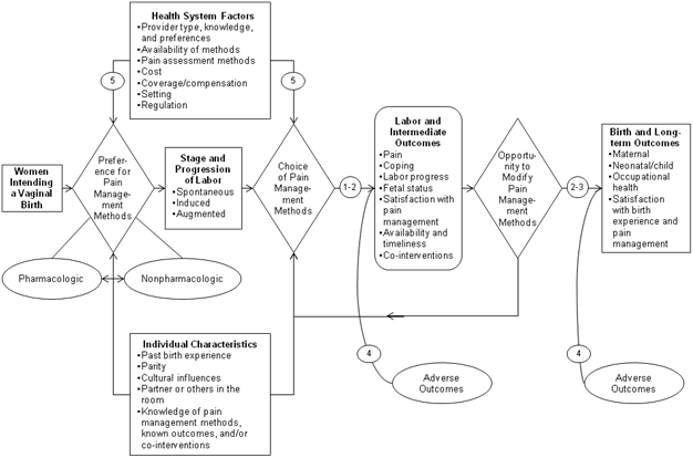 The process diagram outlines potential areas in which to target a review of the effectiveness of nitrous oxide for the management of labor pain in women intending a vaginal birth, whether labor is spontaneous, induced or augmented. Multiple decision points for choosing a pain relief method are included to reflect the initial preference for pain relief as well as the decision to either alter or maintain the pain relief method during labor. Both pharmacologic and nonpharmacologic methods are included. External factors that influence the choice of pain relief method, such as health system factors including availability and cost and individual characteristics including past experiences and knowledge of outcomes, are also illustrated. Intermediate and long-term outcomes associated with pain relief methods can include pain, coping, co-interventions and satisfaction with birth experience and pain management. Adverse outcomes resulting from the initial choice of pain relief method and the secondary choice to modify or maintain the pain relief method are also illustrated.