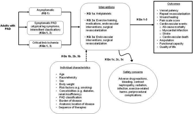 The analytic framework depicts the key questions (KQs) within the context of the PICOTS. In general, the figure shows that the population of interest is adults with lower extremity peripheral artery disease (PAD) who are asymptomatic or symptomatic (i.e., with atypical leg symptoms, intermittent claudication, or critical limb ischemia). Interventions and comparators considered for KQ 1 include aspirin and antiplatelet agents. For KQ 2, the interventions and comparators include exercise training, medications (cilostazol, pentoxifylline), endovascular intervention (percutaneous transluminal arterial angioplasty, atherectomy, stenting), and surgical revascularization (endarterectomy, bypass surgery). For KQ 3, the interventions and comparators include endovascular intervention and surgical revascularization. All three KQs will consider the modifiers of effectiveness including age, race, sex, body weight, risk factors, comorbidities, PAD classification, burden of disease, anatomic location of disease, and sequence of therapies. All three KQs will consider outcomes such as vessel patency, repeat revascularization, wound healing, analog pain scale score, cardiovascular events (e.g., all-cause mortality, myocardial infarction, stroke, cardiovascular death), amputation, functional capacity, and quality of life. And all three KQs will consider safety concerns including intervention-related adverse effects (e.g., adverse drug reactions, bleeding, contrast nephropathy, radiation, infection, exercise-related harms, and periprocedural complications).