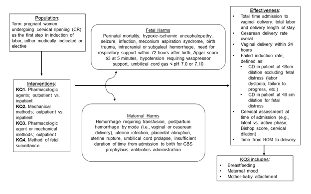 Figure 1 is a flow diagram depicting the analytic framework for the Cervical Ripening in the Outpatient Setting review. This diagram shows the key questions within the context of the PICOTS described previously. It includes details such as: intervention categories including Pharmacologic agents in the outpatient versus the inpatient setting for Key Question 1, mechanical methods in the outpatient versus the inpatient setting for Key Question 2, pharmacologic or mechanical methods in the outpatient setting for Key Question 3, and method of fetal surveillance for Key Question 4; inclusion criteria for all key questions: Term pregnant women undergoing cervical ripening as the first step in induction of labor, either medically indicated or elective. This framework also includes descriptions of the outcomes including fetal harms, maternal harms, and effectiveness outcomes for all Key Questions. The outcomes listed are the same as those described in the PICOTS table below. 