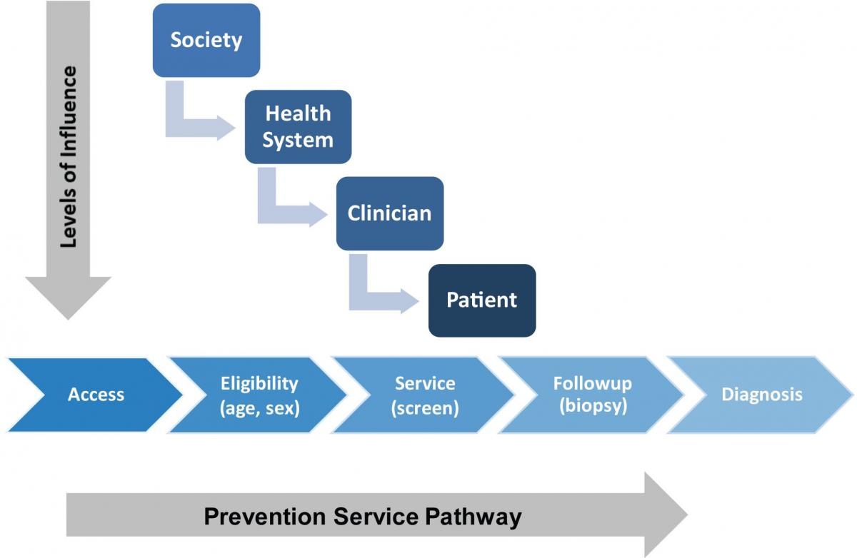 This figure is a conceptual diagram illustrating the levels of influence that different systems and factors have on the clinical pathway of prevention services. On the left side of the figure (y-axis), is an arrow and a series of boxes representing levels of influence including 1) society, 2) health system, 3) clinician factors, and 4) patient factors. Arrows indicate connections between influential factors at each level and how they may impact one another. Along the x-axis is the prevention services clinical pathway. This pathway includes a series of five connected arrows, each one representing a point along the prevention service pathway continuum. These points of care are influenced to varying degrees by the various levels of influence depicted on the y-axis. The first step involves gaining access to health care, encompassed by affordability (e.g., copays, deductibles, coinsurance payments), availability (e.g., enough providers in area, appointment availability), accessibility (e.g., geographic considerations, ease of travel to/from), accommodation (e.g., flexible work schedules, flexible clinic hours), and acceptability (e.g., racial/ethnic, gender considerations to foster patient-provider relationships). After accessing health care, eligibility for the prevention service must be determined by identifying risk factors or other criteria (e.g., age, sex); followed by delivery of the prevention service (e.g., screening test, counseling intervention); followup of abnormal results (e.g., biopsy after mammography); and either diagnosis of the targeted health condition or resumption of routine screening at specified intervals. Each step in the pathway represents a potential gap or barrier that might give rise to a disparity resulting in less preventive care for disadvantaged groups. Different prevention services present variations of this pathway.