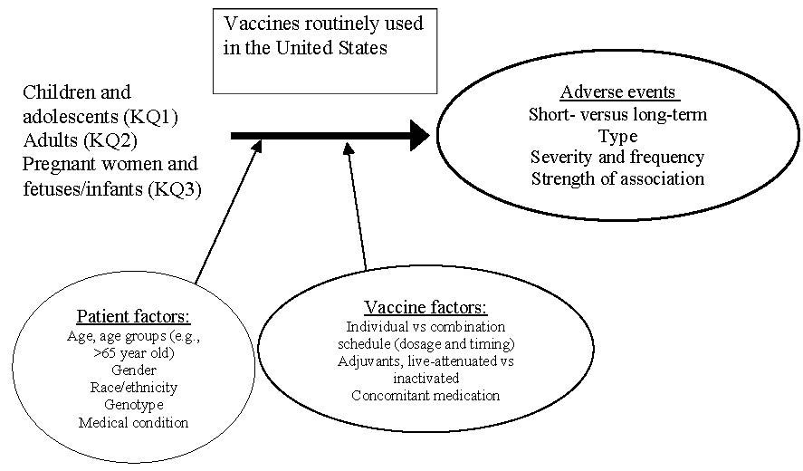 Figure 1: This figure shows the analytic framework for the review. It depicts the key questions that address the safety of vaccines routinely used in the US (KQ1 for children and adolescents; KQ2 for adults; KQ3 for pregnant women and fetuses/infants). The figure also shows the patient factors (age, gender, race/ethnicity, genotype, medical condition) and vaccine factors (individual vs. combination schedule for dosage and timing, adjuvants, live-attenuated vs. inactivated, and concomitant medication) that may influence the effects. The review will determine the adverse events of the vaccines (short vs. long-term, type, severity and frequency, and strength of association).