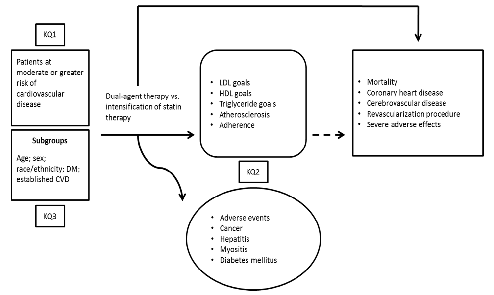 Figure 1 shows our analytic framework presenting the Key Questions (KQ) in terms of: 1) the populations (Patients with moderate or greater high risk of cardiovascular disease); 2) the interventions (dual-agent therapy vs. intensification of statin therapy; 3) the clinical outcomes (Mortality, Coronary heart disease, Cerebrovascular disease, Revascularization procedure, Sever adverse effects); 4) Surrogate clinical outcomes (LDL goals, HDL goals, Triglyceride goals, Atherosclerosis, Adherence); 5) Adherence and Harms (Adverse events, Cancer, Hepatitis, Myositis, Diabetes mellitus)