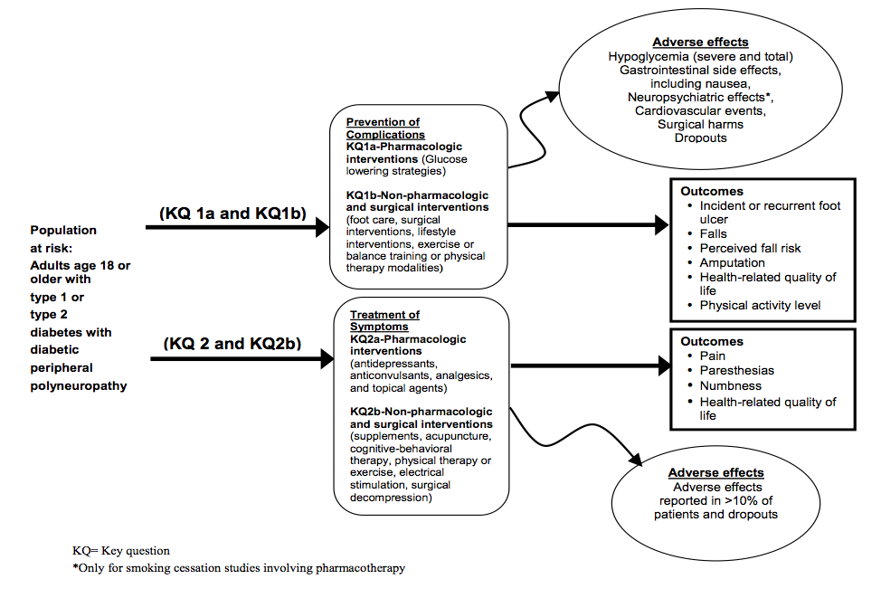 The figure shows the preliminary analytic framework which describes the key question 1a (pharmacologic treatment options to prevent the complications), key questions 1b (non-pharmacologic treatment options prevent the complications), key question 2a (pharmacologic treatment options to improve the symptoms), and key question 2b (non-pharmacologic treatment options to improve the symptoms). Moving from left to right, there is text, arrows, boxes and circles that have text within and around. The first thing on the left shows the group with type 1 or type 2 diabetes with diabetic peripheral neuropathy. There are two arrows pointing to intervention denoting key question 1a, key questions 1b, key question 2a, and key question 2b. The interventions for KQ1a include pharmacologic treatments (Glucose-lowering strategies), KQ1b include non-pharmacologic and surgical interventions (foot care, surgical, lifestyle, exercise, balance training, physical therapy), KQ2a include pharmacologic interventions (antidepressants, anticonvulsants, analgesics, and topical agents) and KQ2b include non-pharmacologic and surgical interventions (supplements, acupuncture, cognitive-behavioral therapy, physical therapy or exercise, electrical stimulation, surgical decompression). There is an arrow that points to a circle labeled adverse effects which denotes KQ1 and b. The adverse effects include hypoglycemia (severe and total), gastrointestinal side effects, including nausea, neuropsychiatric effects (only for smoking cessation studies involving pharmacotherapy), cardiovascular events, surgical harms, dropouts There is an arrow pointing to outcomes of the intervention denoting KQ1a and b. The intermediate outcomes include incident or recurrent foot ulcer, falls, perceived fall risk, amputation, health-related quality of life, and physical activity level.There is an arrow that pointing down to a circle labeled adverse effects which denotes KQ2a and b. The adverse effects include adverse effects reported in >10% of patients and all dropouts[10% is generally considered a threshold for common adverse effects. Adverse effects over 10% are reported in the studies and compiled in systematic reviews. Serious adverse effects (including death) are reported as dropouts due to adverse effects].There is an arrow pointing to outcomes of the intervention denoting KQ2 and b. The outcomes include pain, paresthesias, numbness, health-related quality of life.