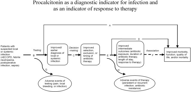 Figure 1. This figure depicts the potential impact of use of procalcitonin on both intermediate outcomes and health outcomes. Direct evidence of the impact of testing on health outcomes is shown by link A (morbidity, function, quality of life and/or mortality) and link G (adverse events of testing). Indirect evidence would have to be assembled in the absence of controlled trials of the effects of testing on health outcomes. An early link in an indirect chain of evidence concerns the diagnostic accuracy of testing (B). Link C addresses whether test results influence decisions regarding therapy, which may have an impact on health outcomes (link D) or intermediate outcomes (link E). Intermediate outcomes, such as antibiotic exposure, duration of antibiotic therapy, length of stay and response to therapy, may have an association with health outcomes (link F). Link H focuses on the adverse events of therapy.