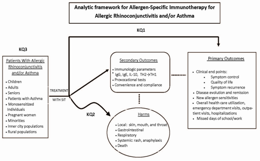 Figure 1. This figure depicts the key questions (KQs) within the context of the PICOTS described in the previous section. In general, the figure illustrates how allergen-specific immunotherapy, administered to patients with respiratory allergies, may result in intermediate outcomes (e.g., changes in immunologic parameters) and/or long-term outcomes (e.g., improvement of symptoms and quality of life and reduction of health care costs). In addition, adverse events may occur at any point after treatment is received.