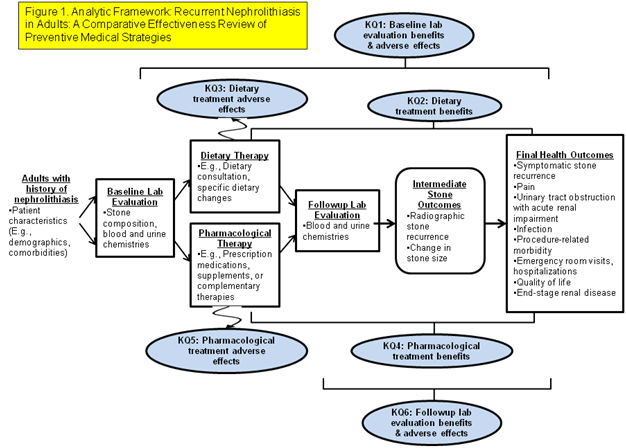 Recurrent Nephrolithiasis In Adults A Comparative Effectiveness Review Of Preventive Medical Strategies Effective Health Care Program