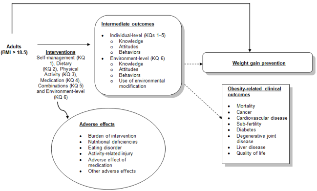 Figure 1 is our analytic framework, presenting the Key Questions in terms of the interventions of interest, self-management (KQ1), dietary (KQ2), physical activity(KQ3), medication (KQ4), combinations of these 4 (KQ5), and environment-level interventions (KQ6) and how these impact outcomes related to adult weight maintenance. The population of interest is adults with a BMI greater than or equal to 18.5. Intermediate outcomes of the interventions include knowledge, attitudes and behaviors for KQs 1-5 and the additional intermediate outcome of use of environmental modification for KQ6. Weight maintenance primary outcomes include all measures of weight gain prevention. Obesity-related clinical outcomes include mortality, cancer, cardiovascular disease, diabetes, degenerative joint disease, liver disease and quality of life.