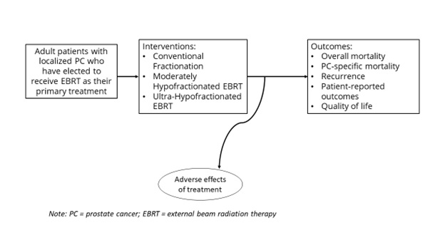 This figure depicts key questions 1 and 2 within the context of the PICOTSS Framework described in Table 1. In general, the figure illustrates how interventions such as conventionally fractionated external beam radiation therapy (EBRT), moderately hypofractionated EBRT, and ultra-hypofractionated EBRT may result in health outcomes such as overall survival, prostate cancer-specific survival, recurrence, patient reported outcomes, quality of life, and adverse effects of treatment among adult patients with localized prostate cancer who have elected to receive EBRT as their primary treatment.