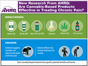 Infographic – Cannabis-Based Products and Chronic Pain