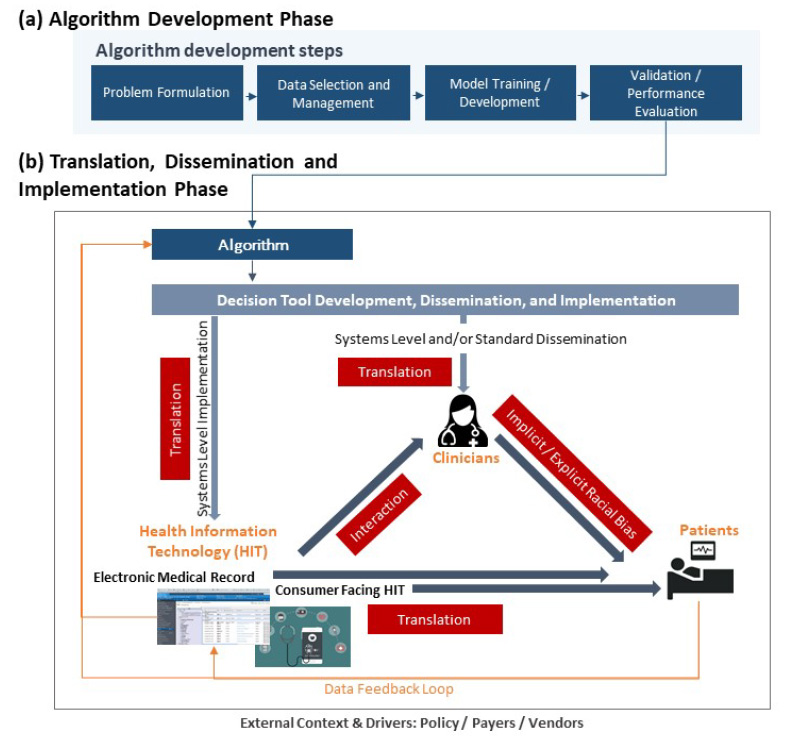 This figure depicts  algorithm/decision tool development-to-clinical implementation lifecycle and the mechanisms through which bias can be introduced. The process is organized into two phases with multiple steps. Phase one, algorithm development, involves four steps: problem formulation, data selection and management, model training and development, and validation and performance evaluation. Phase two, algorithm translation, dissemination, and implementation, involves several cyclical steps beginning with translation (e.g., operationalizig algorithms into decision tools or clinical processes). Next step is dissemantion (e.g., passively spreading knowledge and evidence). The final step is implementation (e.g., active initiative integrating guidance into clinical workflow).